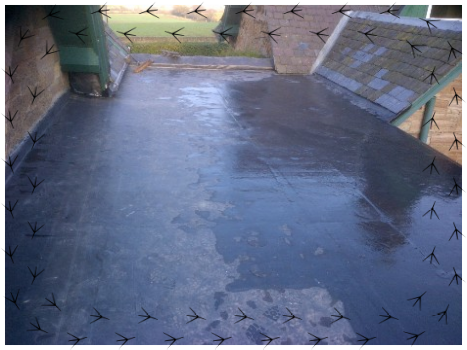 BPC Roofing Services-based in Bathgate are Firestone Epdm Rubber Roofers 